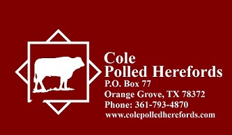 Cole Polled Herefords